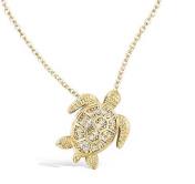 Cliquez sur l'image pour zoomer